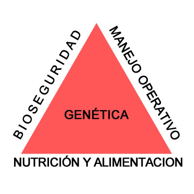 Bienestar Animal